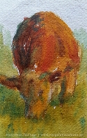 cow
